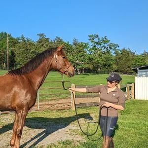 Meet your Posher, Ellen